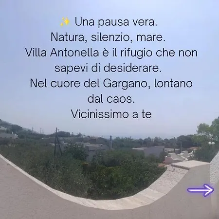 Antonella * Monte SantʼAngelo