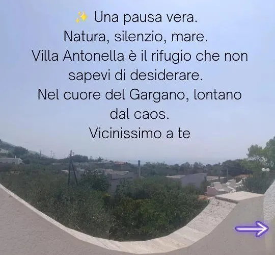 Antonella * Monte SantʼAngelo